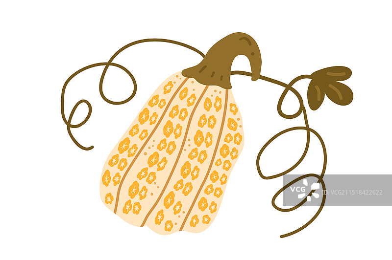 白色背景上的异想天开南瓜藤蔓图片素材