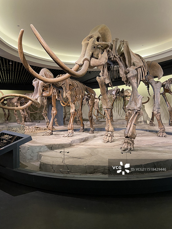 大庆博物馆景区图片素材