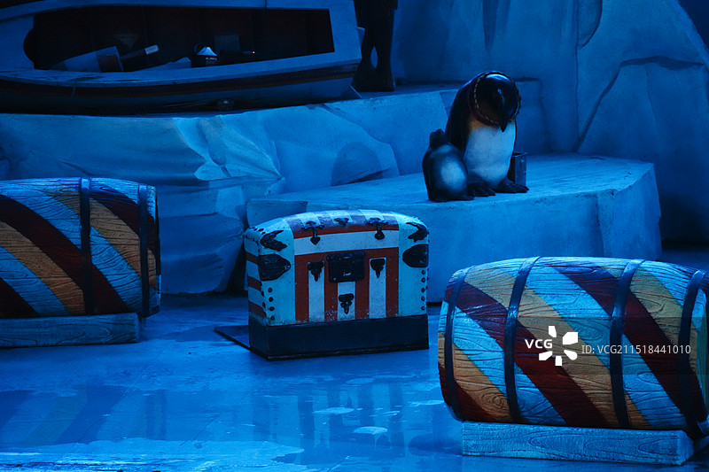 大连圣亚海洋世界图片素材