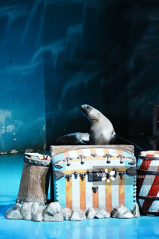 大连圣亚海洋世界图片素材