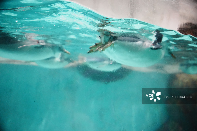 大连圣亚海洋世界图片素材