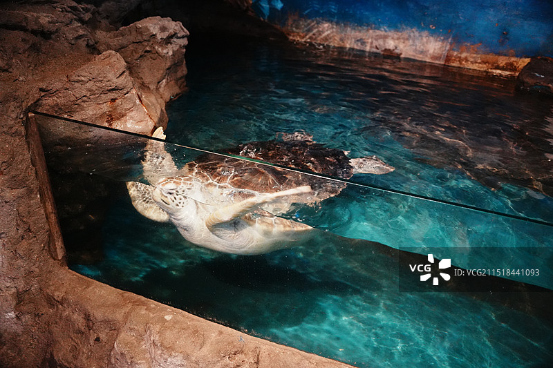 大连圣亚海洋世界图片素材