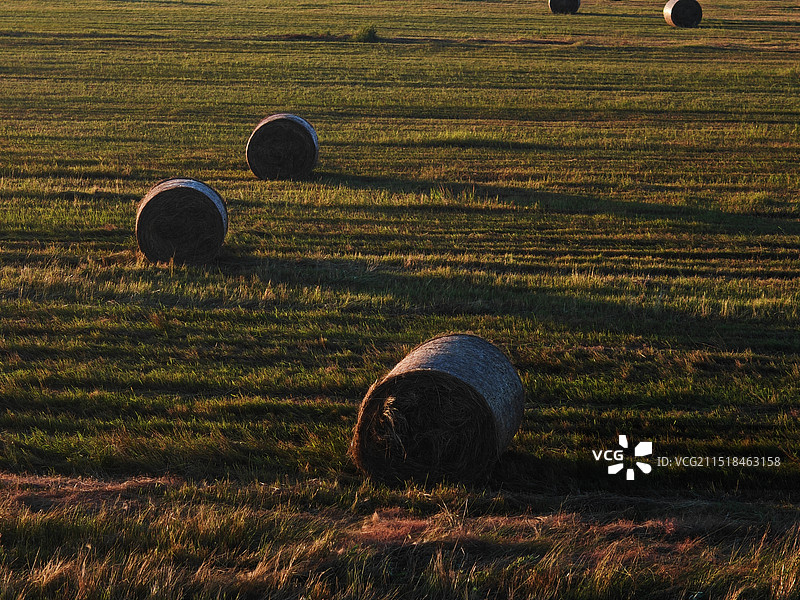 夏末夕阳下的草垛子图片素材