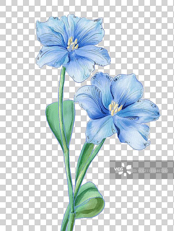 青花瓷郁金香水彩画免扣素材图片素材