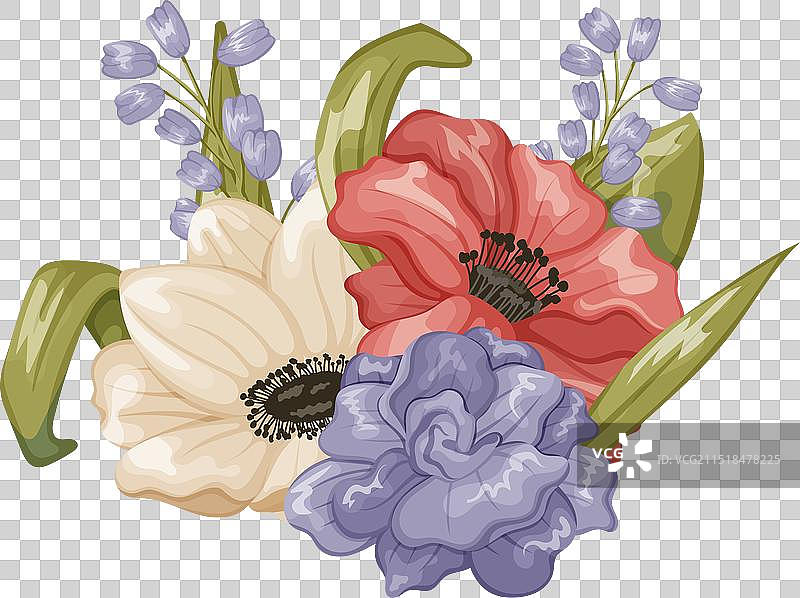 美丽盛开的玫瑰花蕾和银莲花图片素材