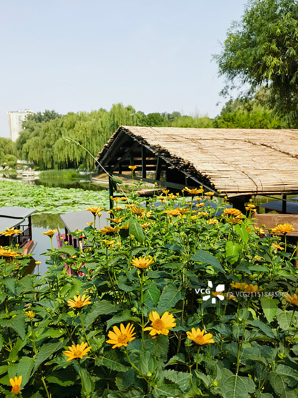 紫竹院公园小景图片素材