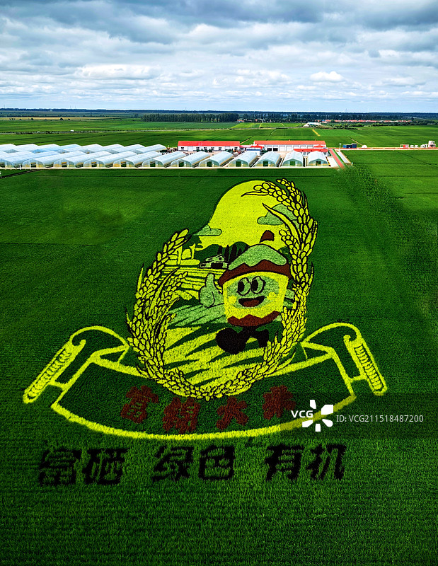 农业田顶天景观图片素材