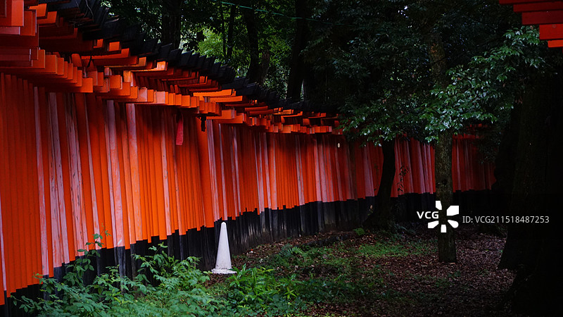 京都伏见稻荷大社图片素材