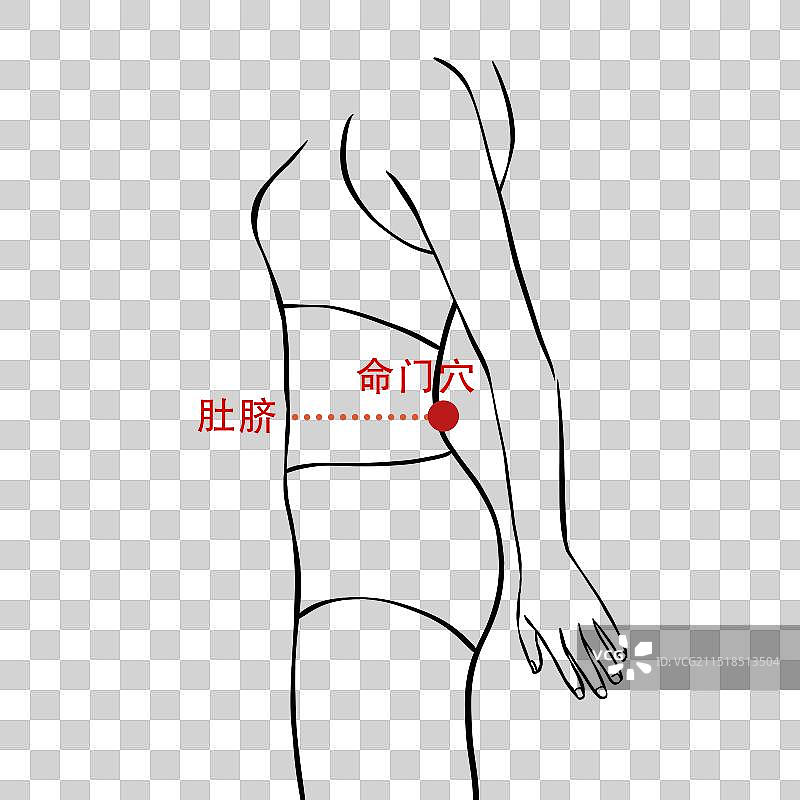 冬季养生穴位标示简易线稿元素，关元穴、命门穴、太溪穴、肾俞穴。图片素材