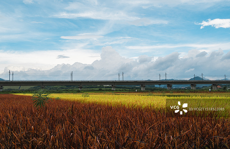 像油画一样的天空。图片素材