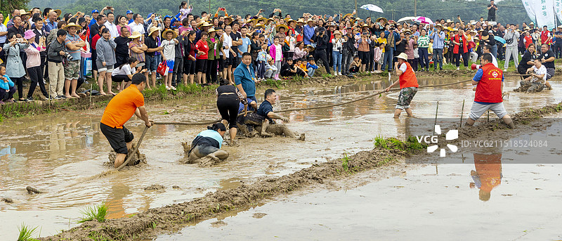 “闹”春田图片素材