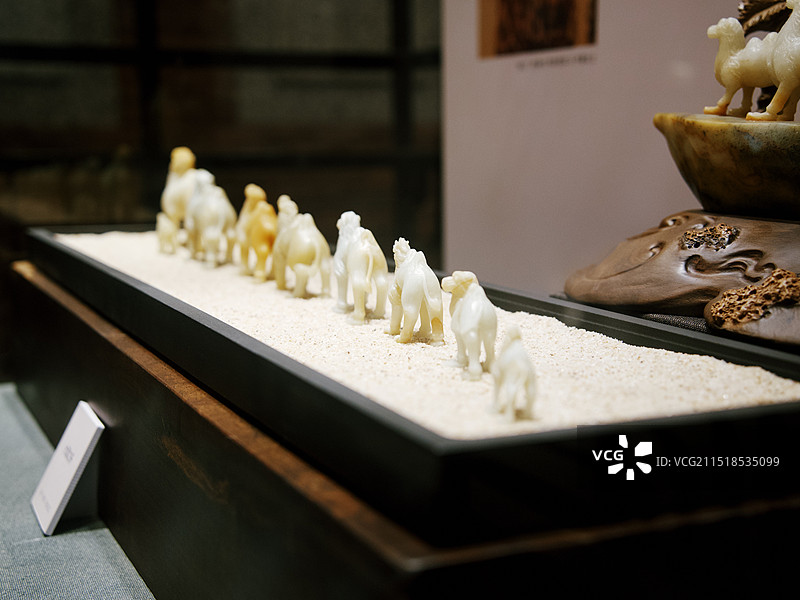 大连自然博物馆图片素材