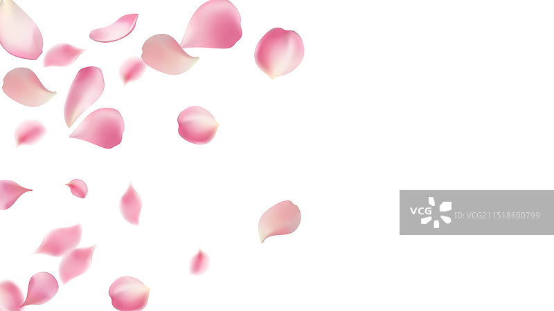 玫瑰花瓣或樱花飞舞的浪漫花瓣图片素材