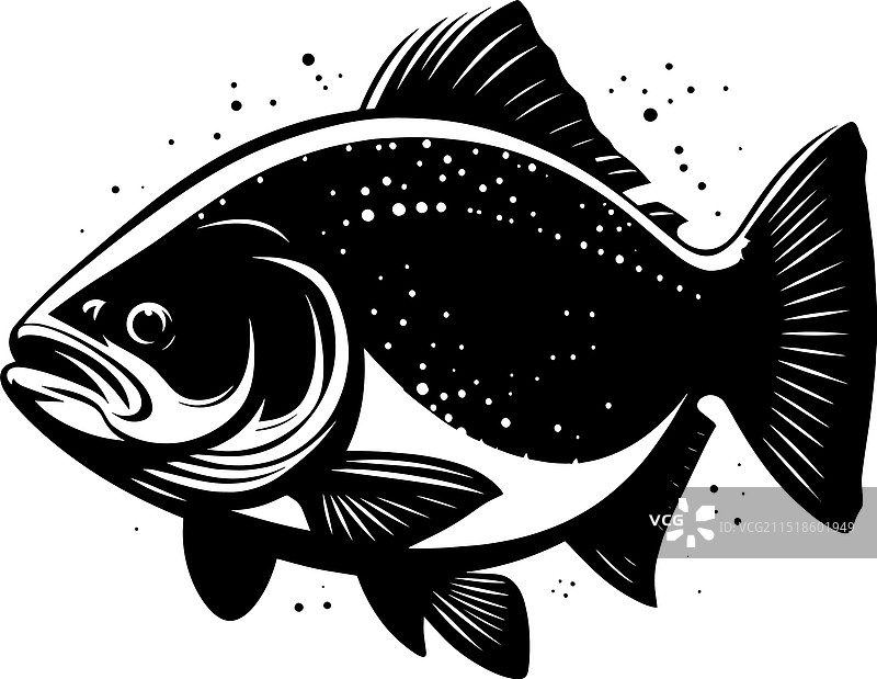 大鱼剪影孤立在白色的背景图片素材