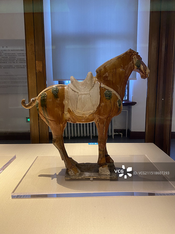 三彩马图片素材