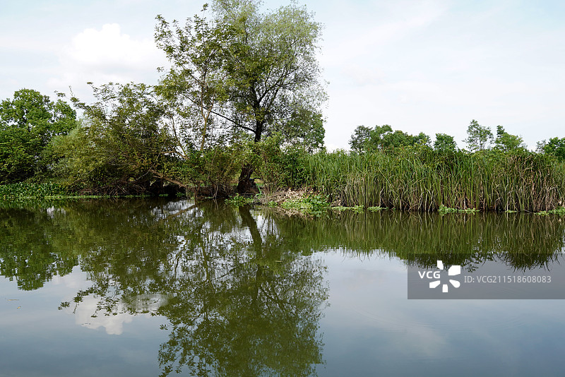 桂林临桂会仙湿地公园图片素材