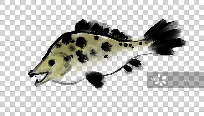 鳜鱼，鱼，图片素材