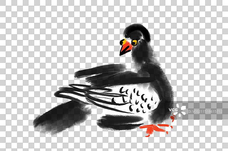 鸽子，信鸽，水墨漫画设计中国风元素图片素材