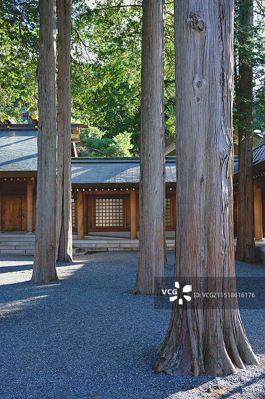 北海道札幌北海道神宫图片素材