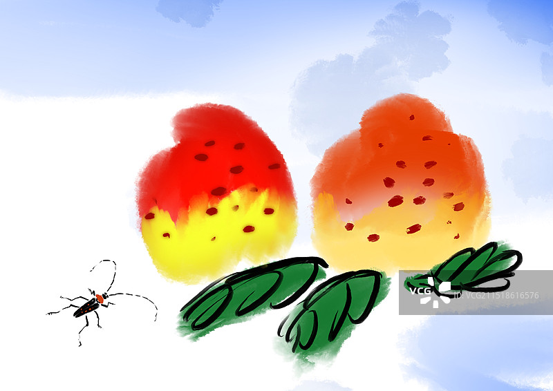 昆虫，桃子，仙桃图片素材