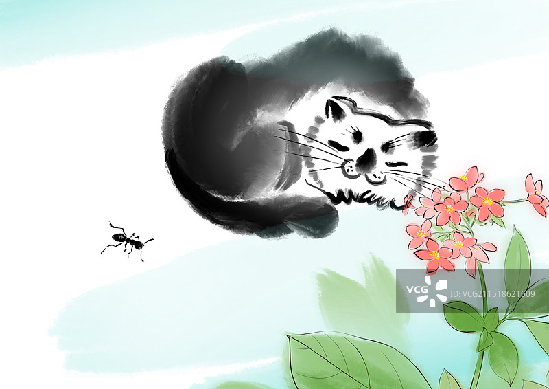 蚂蚁，花猫图片素材
