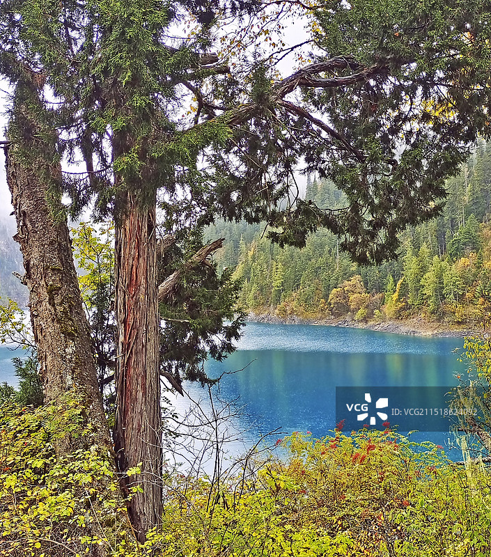 九寨沟风光图片素材