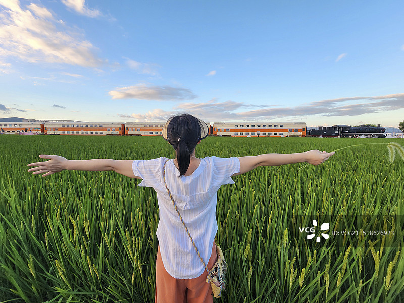 宁波海曙区古林茂新村秋天的田野列车图片素材