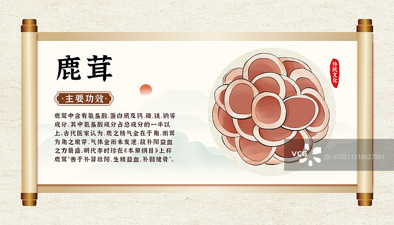 中药药材一鹿茸的作用和功效介绍手绘插图海报图片素材