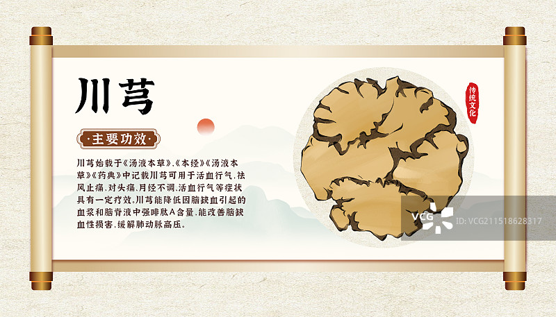 中药药材一川芎的作用和功效介绍手绘插图海报图片素材