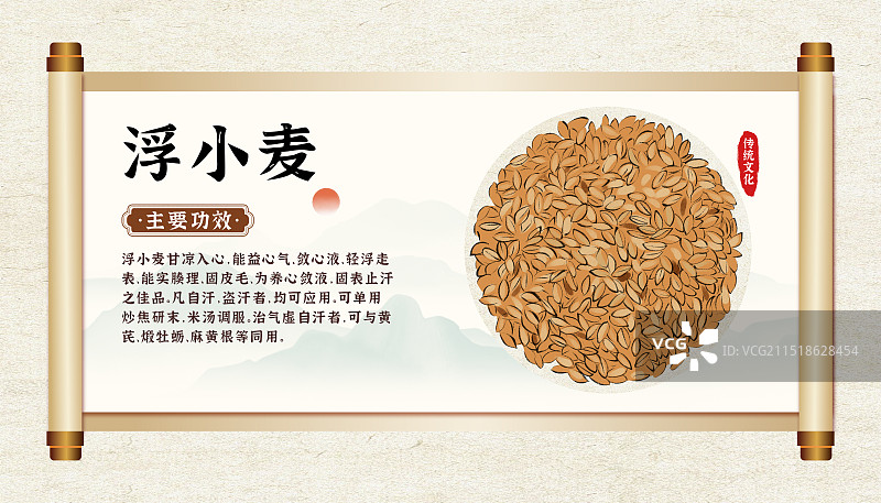 中药药材一浮小麦的作用和功效介绍手绘插图海报图片素材