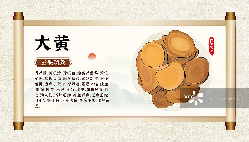 中药药材一大黄的作用和功效介绍手绘插图海报图片素材