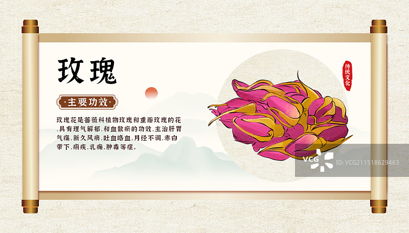 中药药材一玫瑰的作用和功效介绍手绘插图海报图片素材