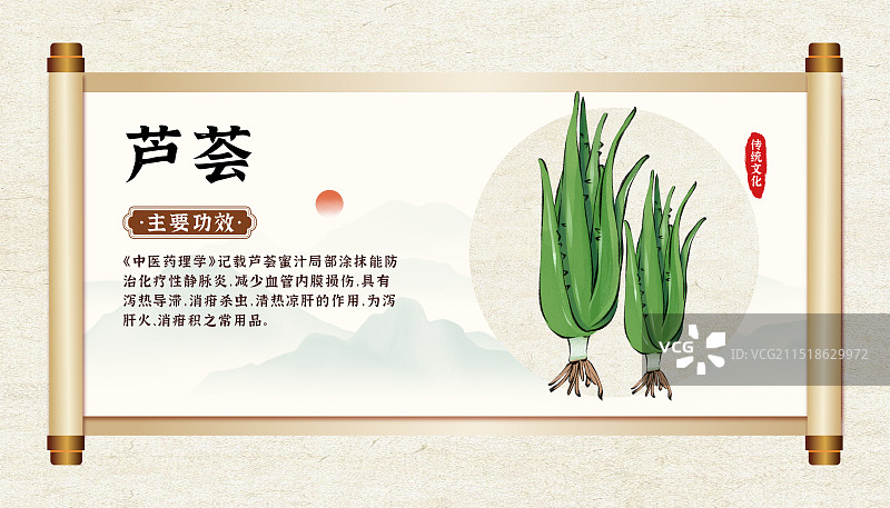 中药药材一芦荟的作用和功效介绍手绘插图海报图片素材