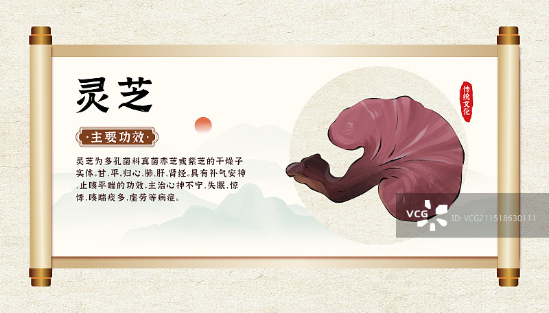 中药药材一灵芝的作用和功效介绍手绘插图海报图片素材