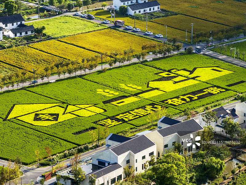 航拍奉贤庄行华米-糖梨花泽图片素材