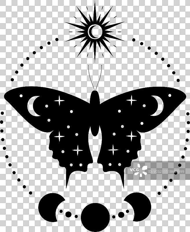 飞蛾与星月神秘剪影图片素材