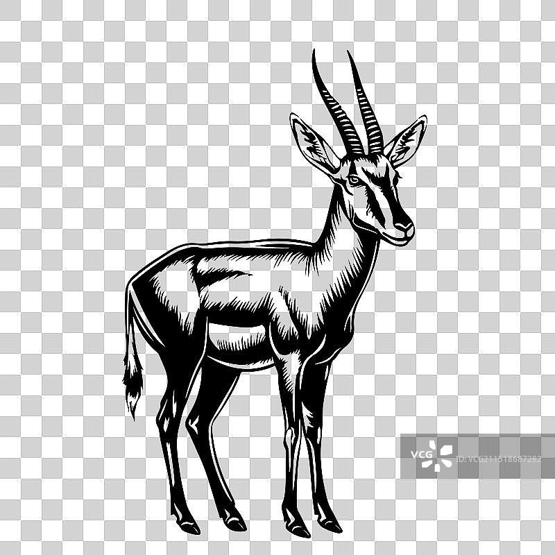 羚羊动物手绘雕刻草图图片素材