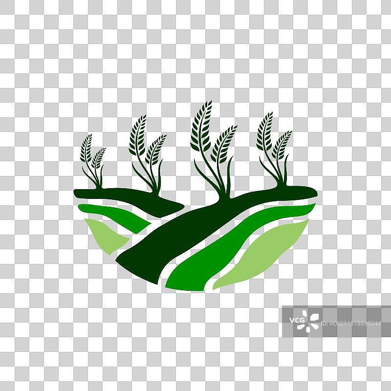小麦农场Logo图标和模板图片素材