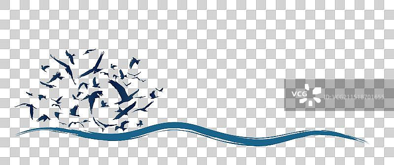 有鸟的海景图片素材