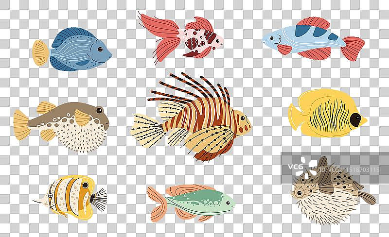 手绘热带鱼类生物合集图片素材
