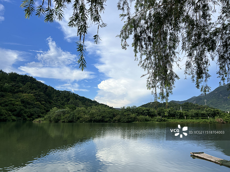 湖边的树顶着天空图片素材