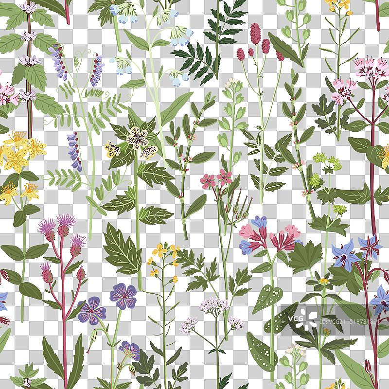 手绘野花无缝图案图片素材