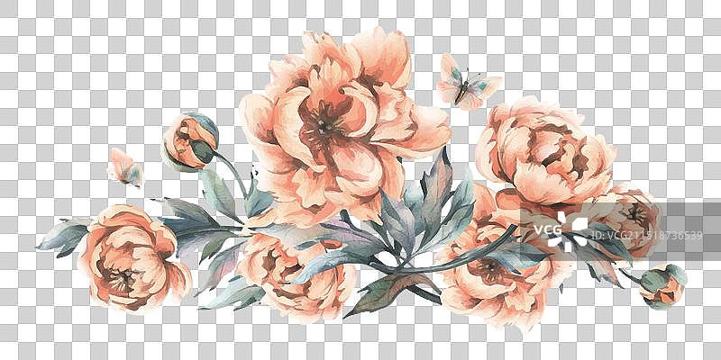 桃子的精致花蕾和叶子图片素材