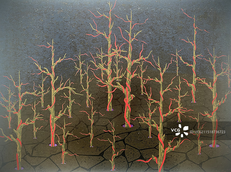 绝版套色《走进去，走出来》图片素材