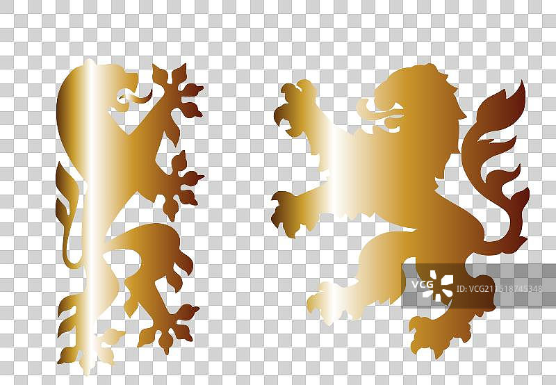 金色雄狮战斗剪影图片素材