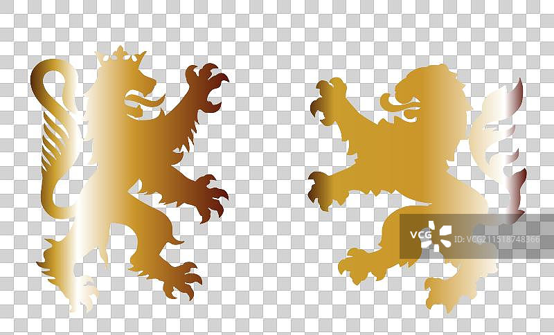 金色雄狮战斗剪影图片素材