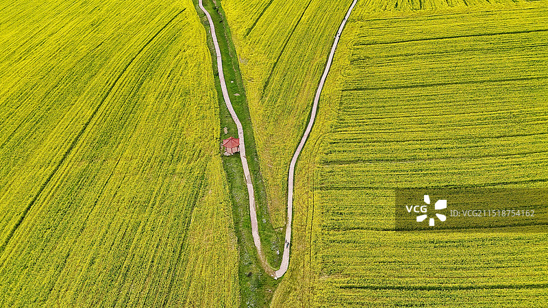 阿坝县蚕木扎村图片素材