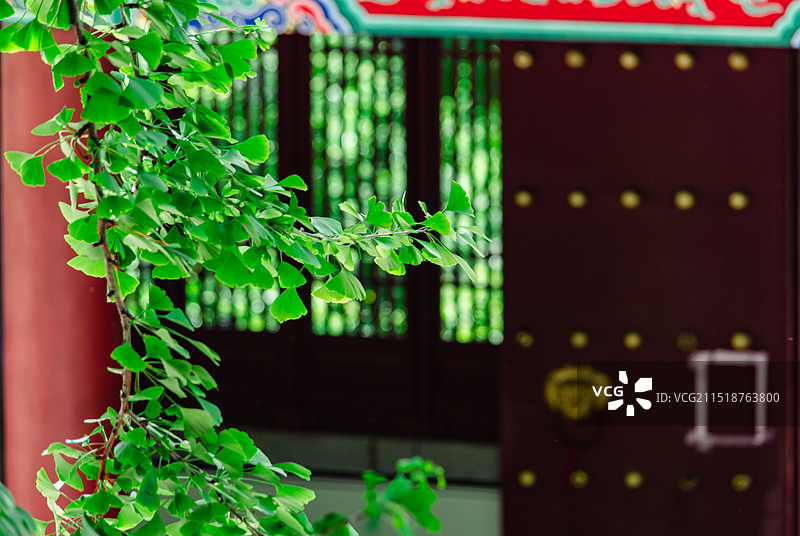 中国非都市风光拍摄主题，山东泰安玉泉寺泰山风景区，古代建筑入口大门特写，户外白昼无人图像摄影图片素材