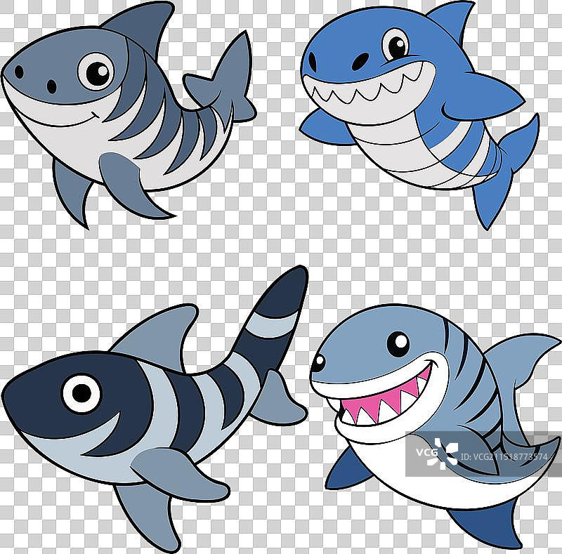 斑马鲨鱼设计动物图案图片素材