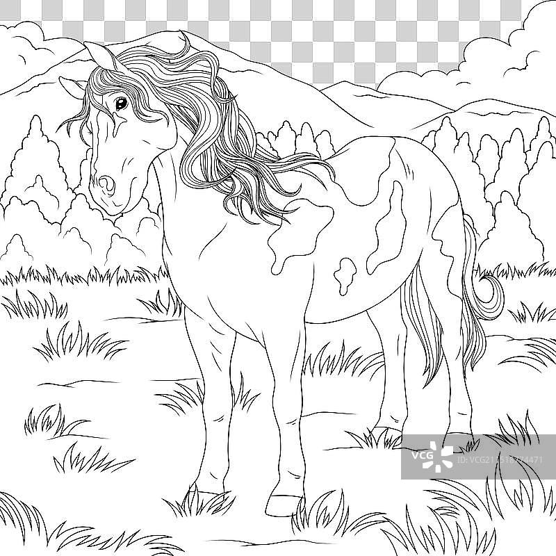 一匹美丽的马走进来图片素材